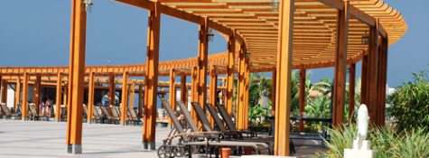 בניית פרגולות מעץ אורן