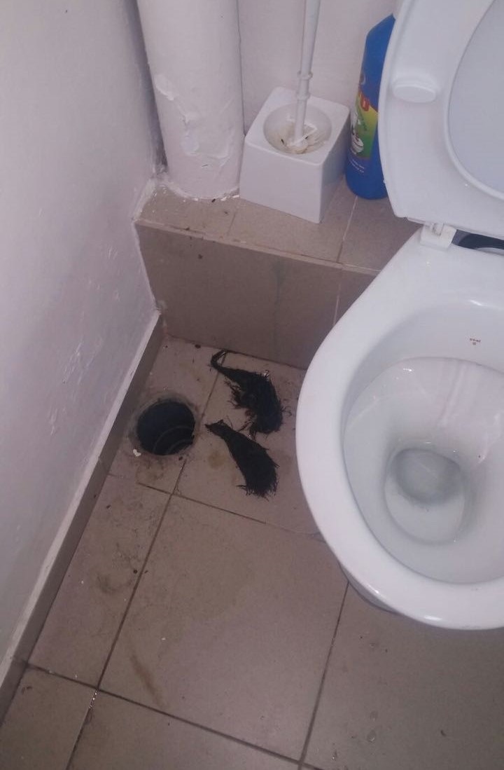 שורשים בביוב