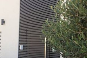 ספק דלתות מעוצבות קמיליון